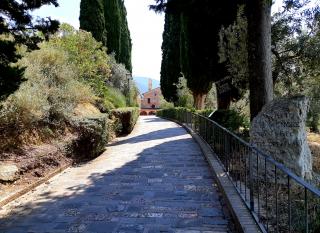 Assisi_Pilgerreisen